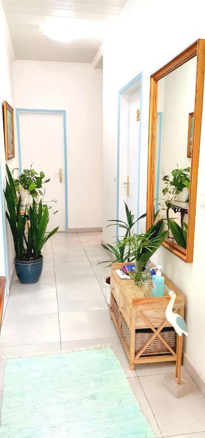 Home & Flower - Private Bedrooms Funchal Ngoại thất bức ảnh