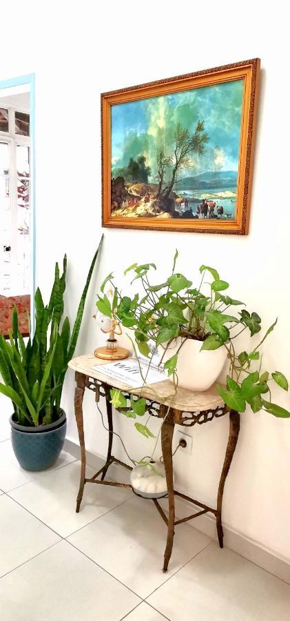 Home & Flower - Private Bedrooms Funchal Ngoại thất bức ảnh